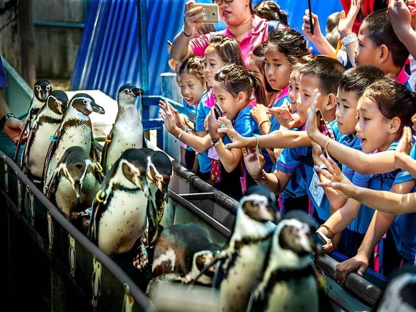 Bangkok/Pattaya: Khao Kheow Zoo Private Tour with Pickup - Feeding Animals and Other Extras: Budget for On-Site Costs