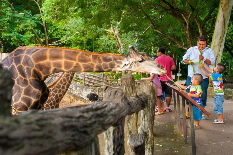 Bangkok/Pattaya: Khao Kheow Zoo Private Tour with Pickup - Pink Zone by Private Vehicle: The Big Reason People Choose This Tour