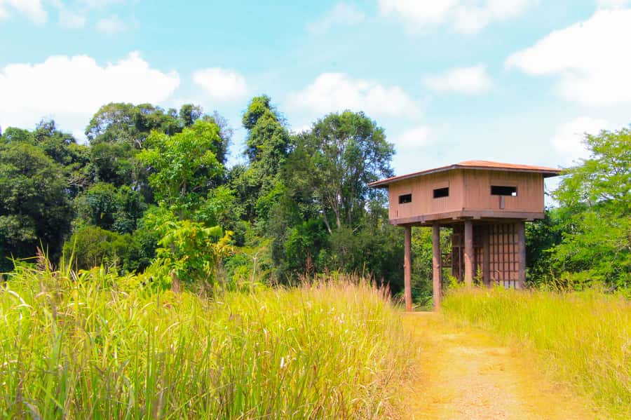 Bangkok: Private & Customizable Khao Yai National Park Tour - Wildlife viewing time: what to expect (and what not to assume)