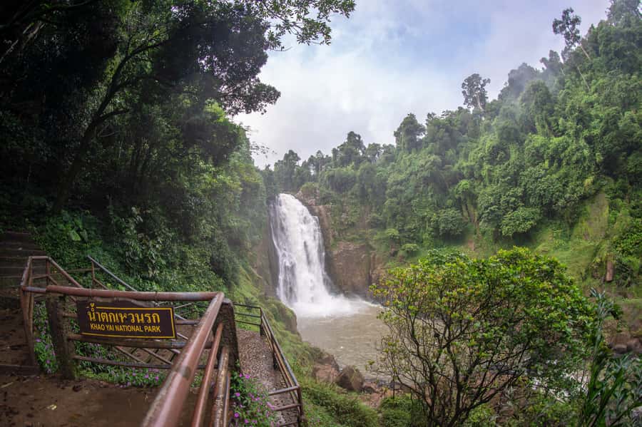Bangkok: Private & Customizable Khao Yai National Park Tour - KM 33 (Nong Phak Chi Nature Trail): for hikers who want flora and birds