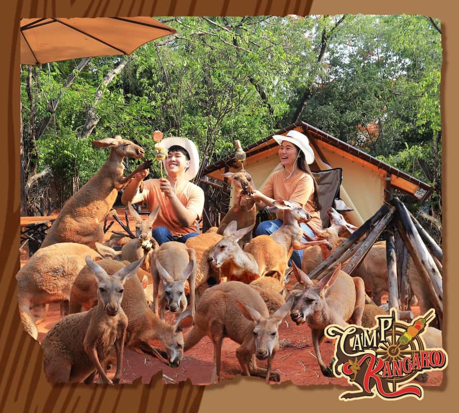Bangkok: Private Family Tour to Safari & River Dinner Cruise - Buffet lunch at Safari World: the easiest way to handle a full day