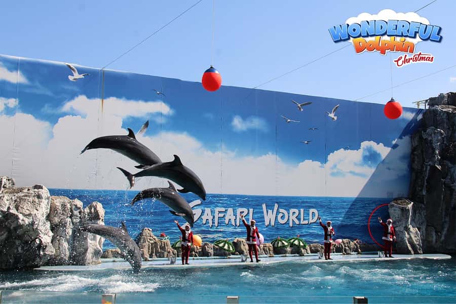 Bangkok: Private Family Tour to Safari & River Dinner Cruise - Marine Park shows: dolphins, birds, and elephants as built-in entertainment