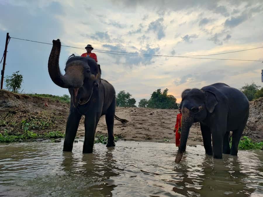 Bangkok: Private Trip to Ayutthaya Temples & Night Market - Key highlights you’ll remember