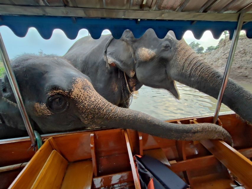 Bangkok: Private Trip to Ayutthaya Temples & Night Market - Long-tail boat around Ayutthaya’s island city (plus possible elephant time)