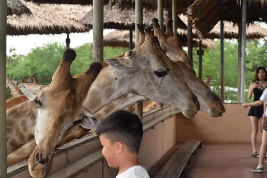 Bangkok Safari & Marine Park - Key things to know before you go