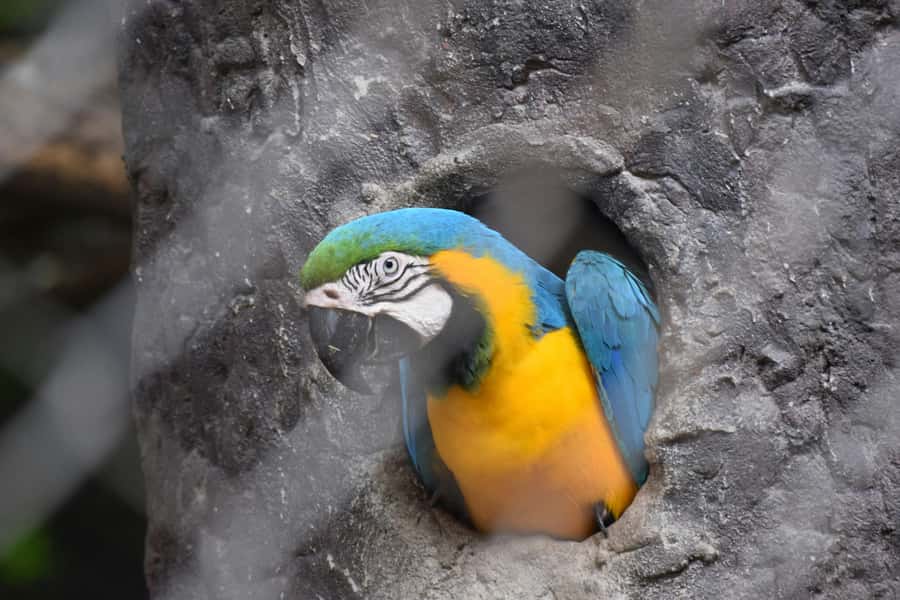 Bangkok Safari & Marine Park - Price and value: when $128 per group up to 3 makes sense
