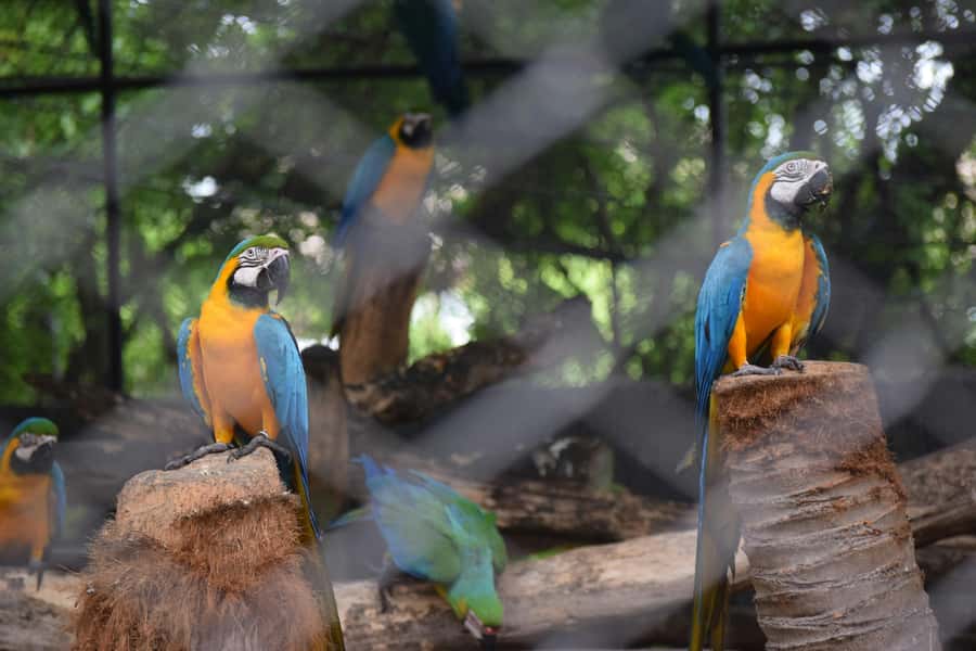 Bangkok Safari & Marine Park - The 10-hour plan: pick-up timing, 8 hours inside, and the return back to Bangkok