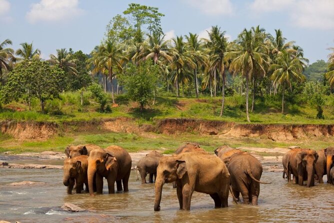 Bangkok: Safari world & Marine park - Key Points You’ll Care About