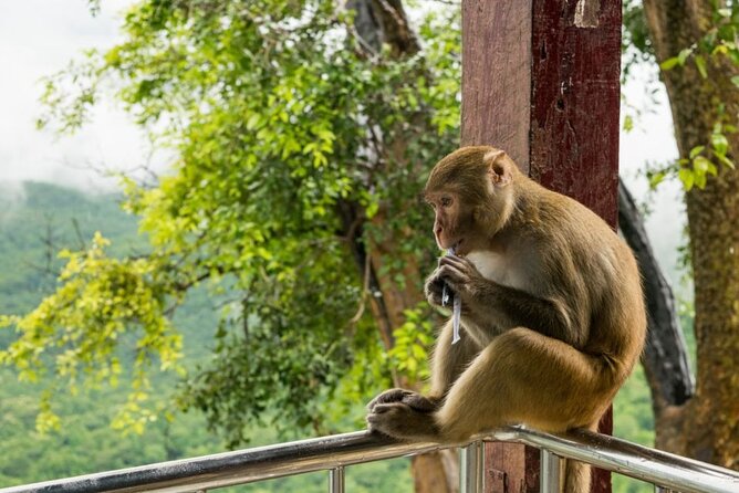 Bangkok: Safari world & Marine park - Hotel Pickup and Private Car: Comfort for a Full 8 Hours