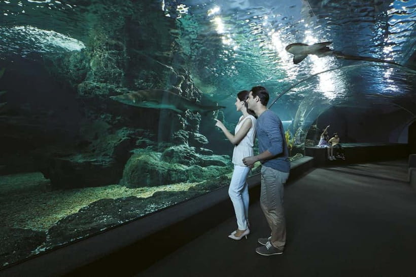 Bangkok: SEA LIFE Bangkok & Madame Tussauds Entry Ticket - Siam Locations: How This Combo Ticket Really Works