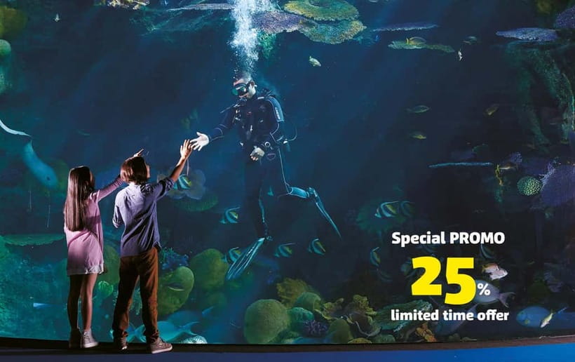Bangkok: SEA LIFE Bangkok Ocean World Entry Ticket - Key Highlights You’ll Actually Feel