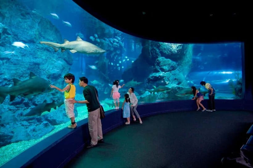 Bangkok: SEA LIFE Bangkok Ocean World Entry Ticket - Touch Pools, 4D Cinema, and Other Hands-On Moments