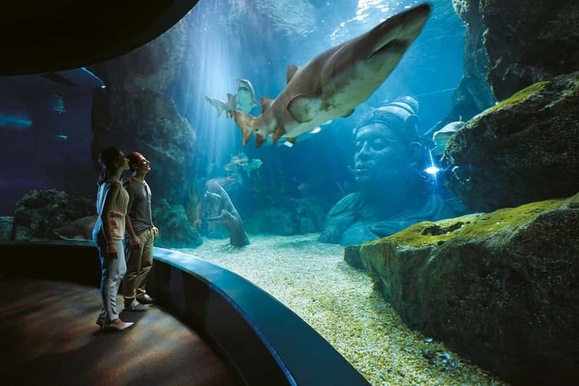 Bangkok: SEA LIFE Bangkok Ocean World Entry Ticket - The 270-Degree Ocean Tunnel: The Main Event