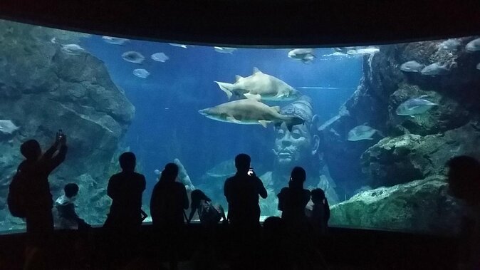 Bangkok SEA LIFE & Madame Tussauds Combo with Hotel Transfers - Key Things I’d Highlight Before You Go