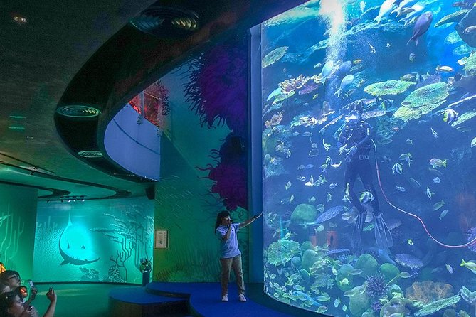 Bangkok SEA LIFE & Madame Tussauds Combo with Hotel Transfers - Skip-the-Line Combo: What You Really Gain in Bangkok