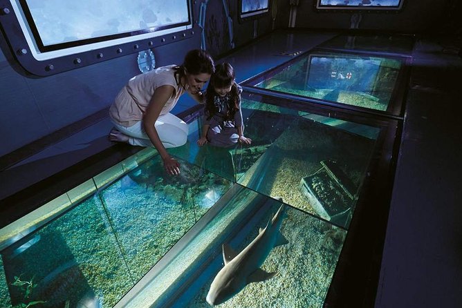 Bangkok SEA LIFE & Madame Tussauds Combo with Hotel Transfers - The Included 4D Movie: The Weak Link for Many People