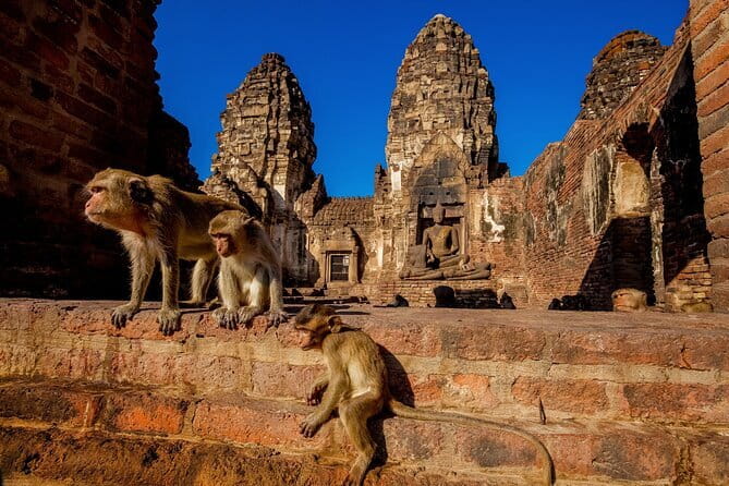 Bangkok to Ayutthaya Lopburi Monkey Temple, Largest Buddha Tour - Key things to know before you go