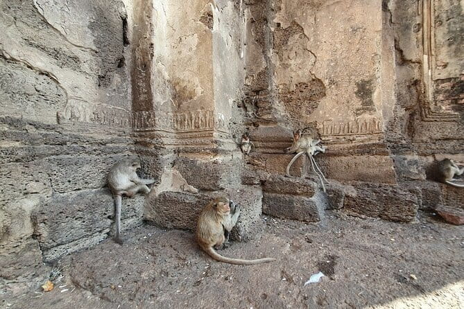 Bangkok to Ayutthaya Lopburi Monkey Temple, Largest Buddha Tour - A 10-Hour Temple Day That Actually Feels Manageable