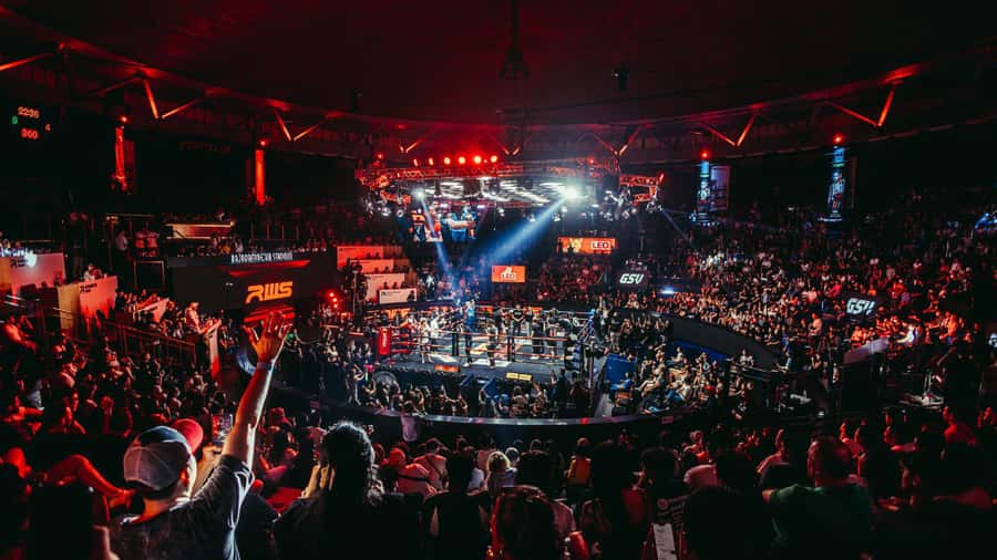 Bangkok:Muay Thai Boxing at Rajadamnern with Hotel Transfer - Which kind of fighter fan are you?