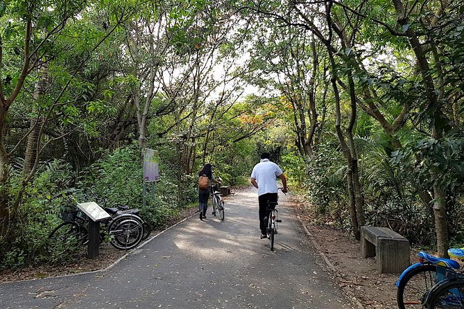 Bangkok's Green Lung Jungle Cycling Adventure Tour - FYI Center and Khlong Toei Market: a local start before you pedal