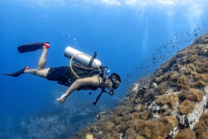 Basic Diver ( One Day Experience) - Key things to know