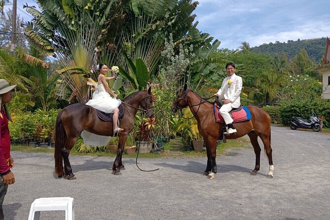 Beach Horse Riding Activity in Phuket - Horses, Care, and the Post-Ride Routine You Might Appreciate