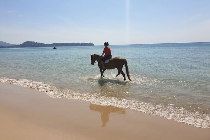 Beach Horse Riding Activity in Phuket - The 85 kg Weight Limit: The Rule That Actually Determines Your Booking