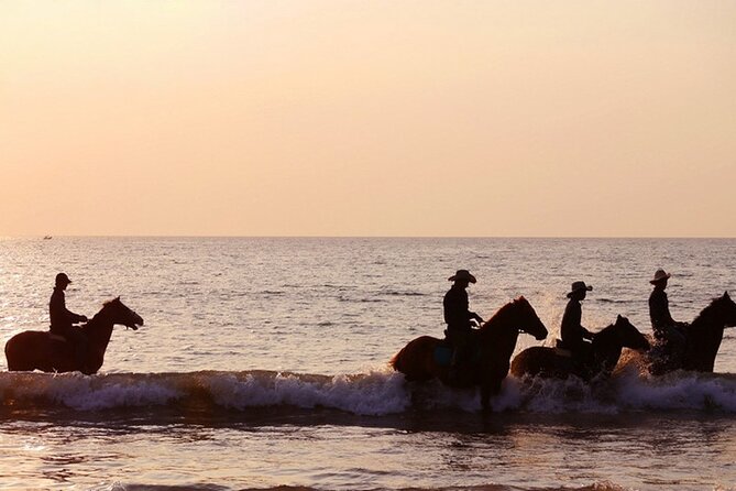 Beach Horse Riding At Sunset In Phuket - Animal welfare and horse comfort: what to watch before you ride
