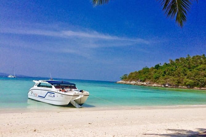 Beat the Crowds: Earlybird Phi Phi Islands by Speedboat - Ko Phi Phi Lee: cliffs, coral seas, and a quick nature hit
