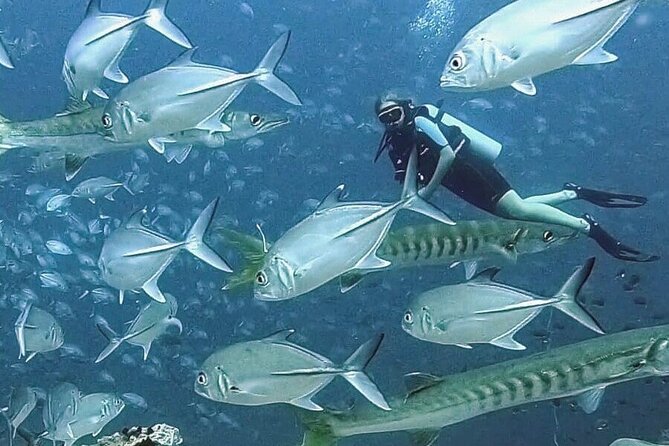 Become certified diver in 3 days - PADI Open Water Diver course on Koh Tao - Instructors and the nervous-first-timer factor