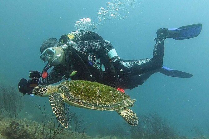 Become certified diver in 3 days - PADI Open Water Diver course on Koh Tao - Price and value: what $375.70 really buys you
