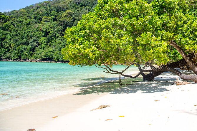 Best Seller - Surin Islands Snorkeling Trip from Khao Lak - Price and the National Park Fee: Where the Real Value Shows