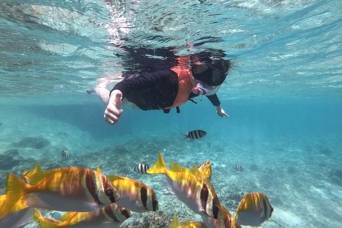 Beyond Angthong 42 Islands Premium Service Trip By Speedboat From Koh Samui - Key highlights to clock before you go