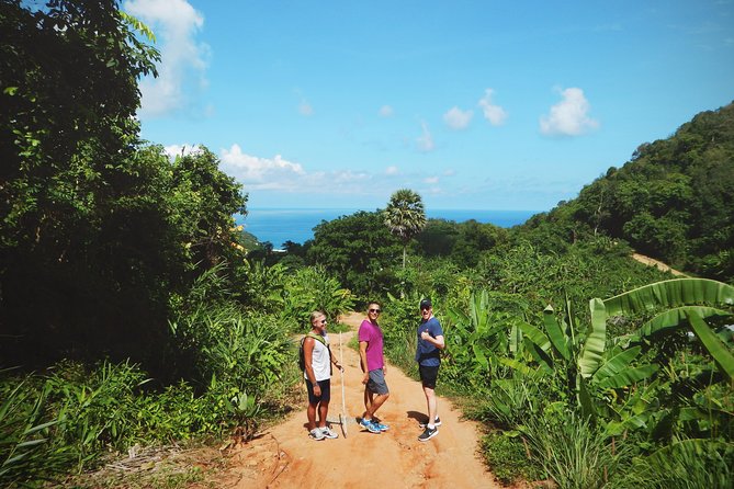 Big Buddha Jungle Trekking and Temple tour with Lunch - Lunch at WeCafe: farm-to-table energy, not just a fuel stop