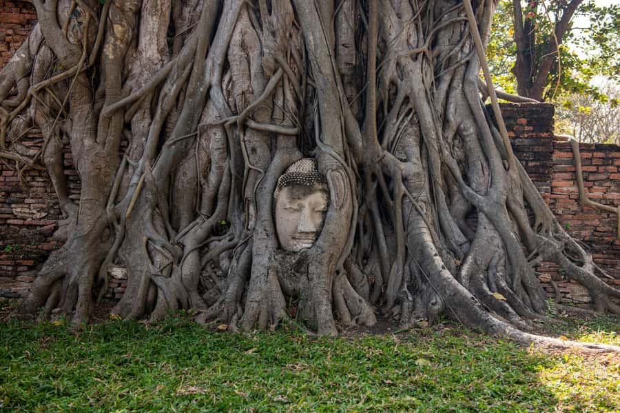BKK: Ayutthaya, Maeklong Railway, Damnoen Saduak Floating - Who this tour suits best (and who should skip it)