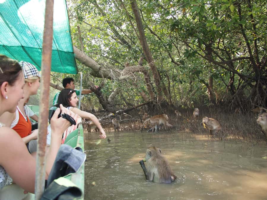 BKK :Meet monkey, mangrove forest, seafood& market -private - Damnoen Saduak Floating Market: What the Crowds Are For (and How to Enjoy Them)