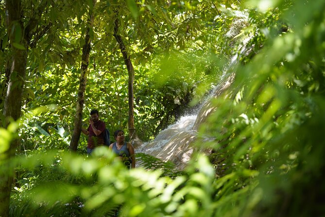 Bua Tong Waterfall Adventure& Huge Cave included Thai Buffet Tour - Lunch, Snacks, and the Thai Buffet Piece