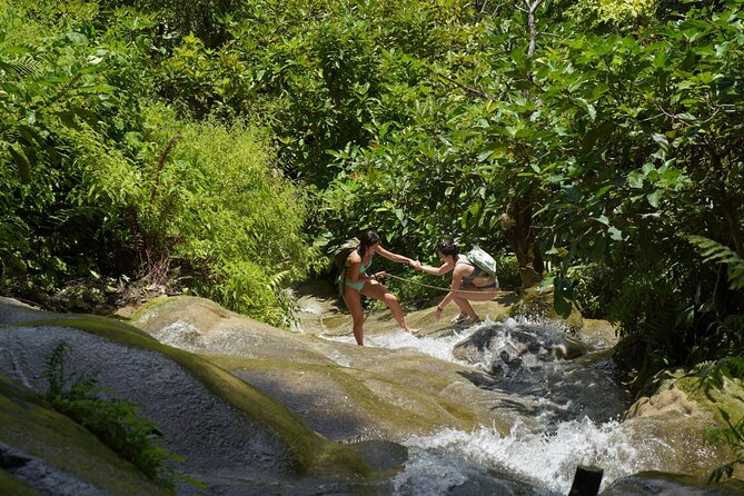 Bua Tong Waterfall Adventure& Huge Cave included Thai Buffet Tour - Guides Like Kim and Nikorn: Why the Stories Make It Better