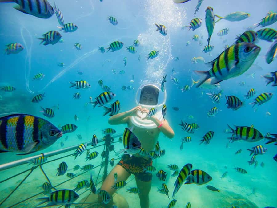 Chalong: Kahung Beach Day Trip by Speedboat & Lunch - Price and value: is $59 worth it?