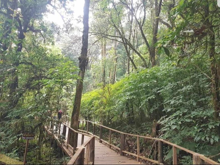 Chang Mai: Doi Inthanon Day Tour w/Waterfalls & Hilltribes - King’s and Queen’s pagodas: standout landmarks up in the clouds