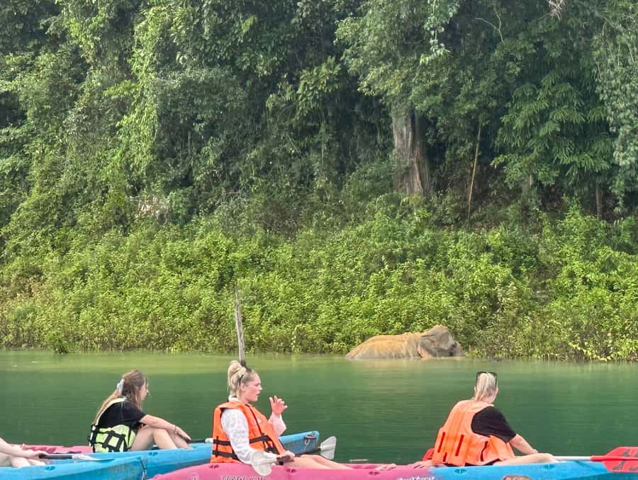 Cheow Larn Lake - Hiking - Cave Explore - Wildlife Safari - Coral Cave with bamboo raft and guided cave walk: stalactites are the main event