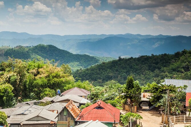 Chiang Dao Cave & 5 Hill Tribe villages - Bai Orchid and Butterfly Farm: Thai orchids plus a calm greenhouse pause
