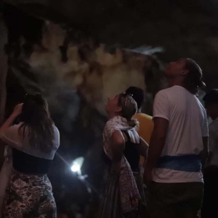 Chiang Dao Cave, Sticky Waterfall, Baan Den Temple Private - FAQ