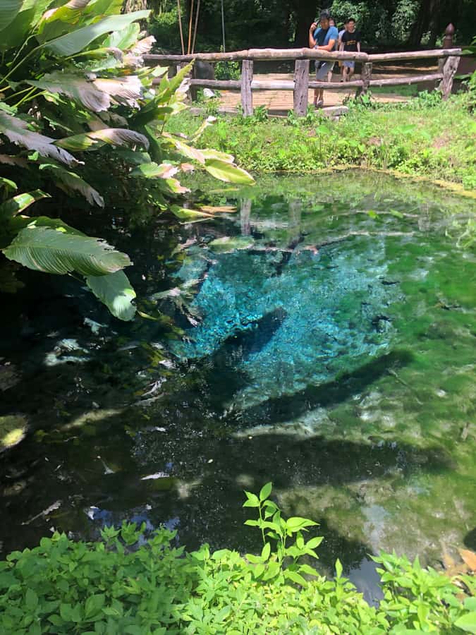 Chiang Dao Cave, Sticky Waterfall, Baan Den Temple Private - Who This Tour Suits Best (and Who Might Want Something Else)