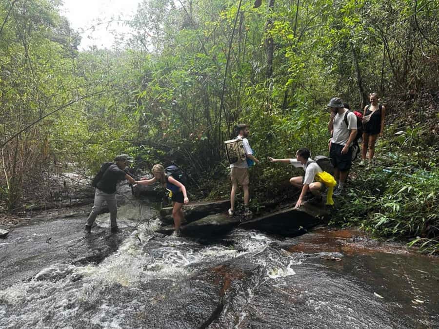 Chiang Mai: 1-Day Jungle Trekking in the Doi Inthanon Area - Mae Win direction: the guided jungle hike starts with farmland views