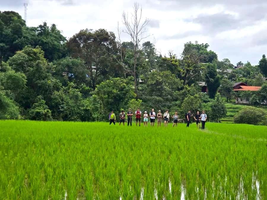 Chiang Mai: 1-Day Jungle Trekking in the Doi Inthanon Area - Total walking time and pacing: how to plan your energy