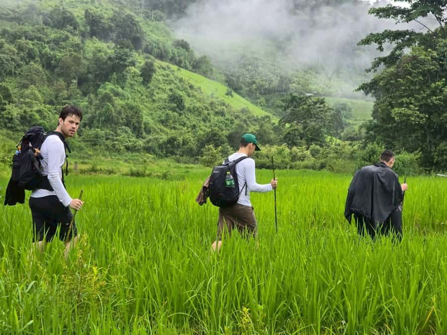 Chiang Mai: 1-Day Trekking Experience to Village & Waterfall - Rice Field Seasons in Mae Wang: Timing Your Best Views