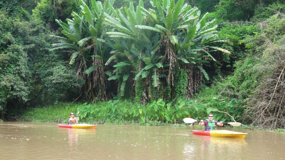 Chiang Mai: 15 km Leisure River Kayaking at Mae Ngat forest - Getting started: hotel pickup, pro-shop briefing, and the drive to the river