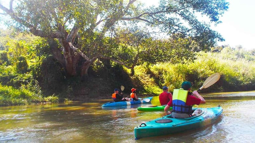 Chiang Mai: 15 km Leisure River Kayaking at Mae Ngat forest - Safety briefing at Chur Lare Bridge: practice first, then freedom