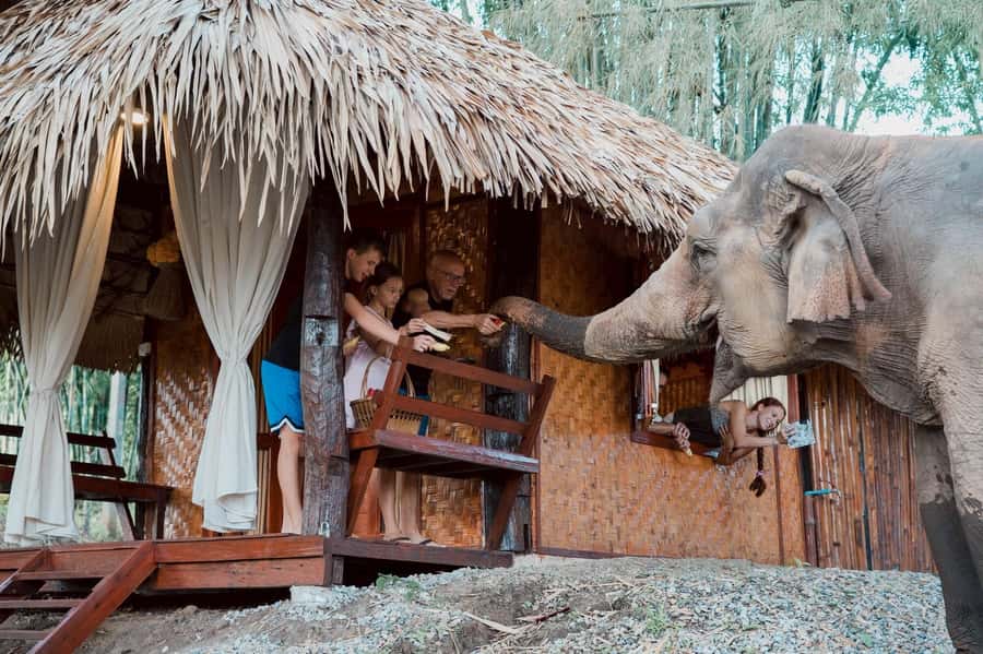 Chiang Mai 2-Day: Good Morning Elephant & Overnight Homestay - Key Things I’d Mark on Your Chiang Mai Map